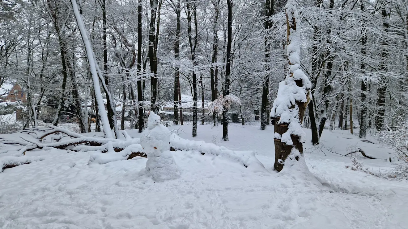 Er ligt 20 centimeter. Mensen genieten ervan - Reinout van den Born