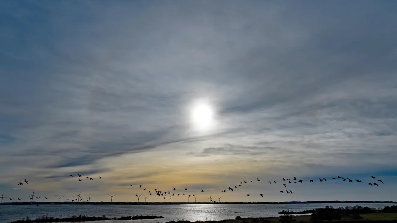 Ook in de lucht is al van alles te beleven - Simone Genna