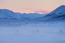 In Siberië, daar is het koud. Zoals hier in de buurt van Ojmjakon - Maarten Takens