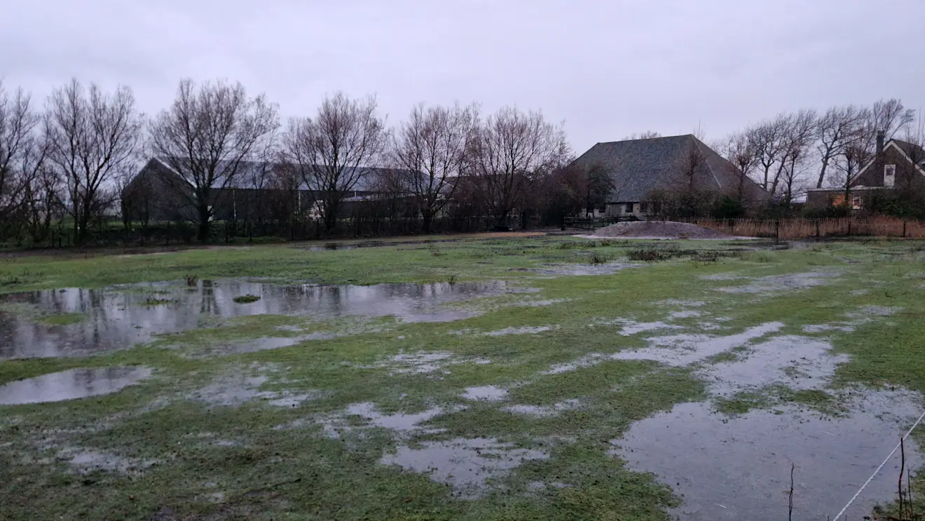 Het was vanochtend bijzonder nat op Texel - Frans Alderse Baas