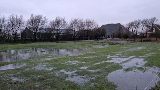 Het was vanochtend bijzonder nat op Texel - Frans Alderse Baas