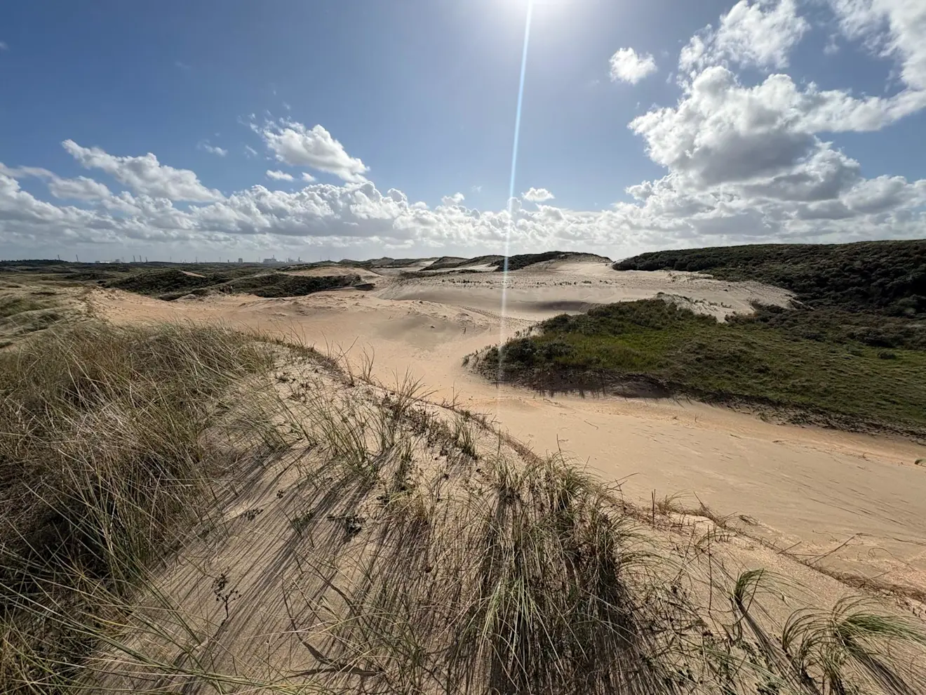 Een mooi beeld van het door een kerf binnenstuivende zand - Pieter Bliek
