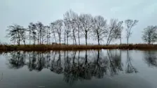 Een kille en grijze ochtend - Jolanda Bakker