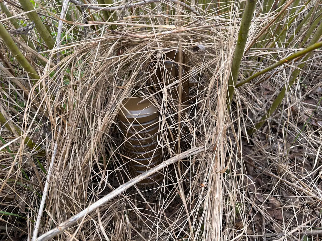 Een datalogger, verscholen tussen de takken, in Bray Dunes 2 - Pieter Bliek