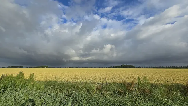 Na regen komt zonneschijn, in Groningen - Jannes Wiersema.