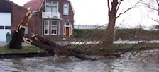 Stormschade in de buurt van Delft - Steven Lek