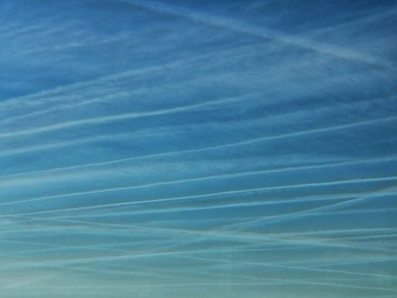 Ook in de buurt van Vaals - Carlos Sour