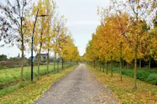 Het is morgen op en top herfstweer - Huibert Boon