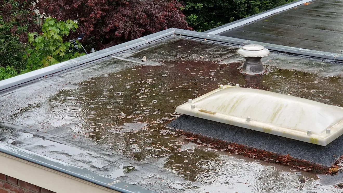 Regen op het dak in Velp - Reinout van den Born
