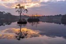 Rust in de natuur - John Oomen