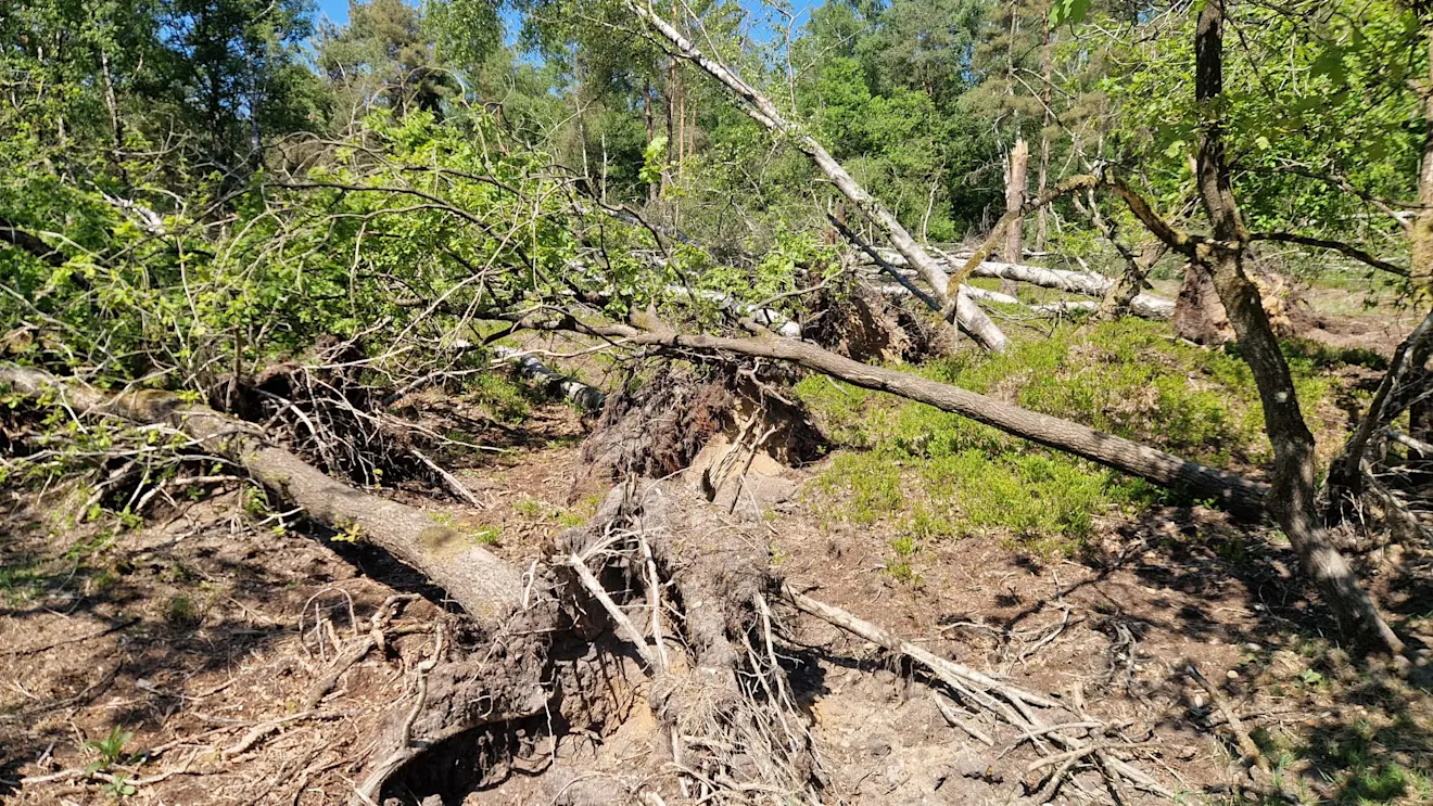 Tornado 2