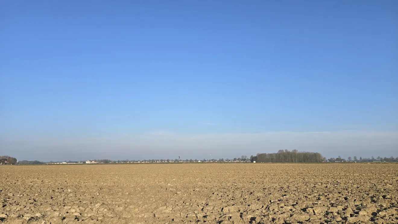 Kale velden in Noordoost-Groningen, met daarboven een blauwe lucht - Jannes Wiersema
