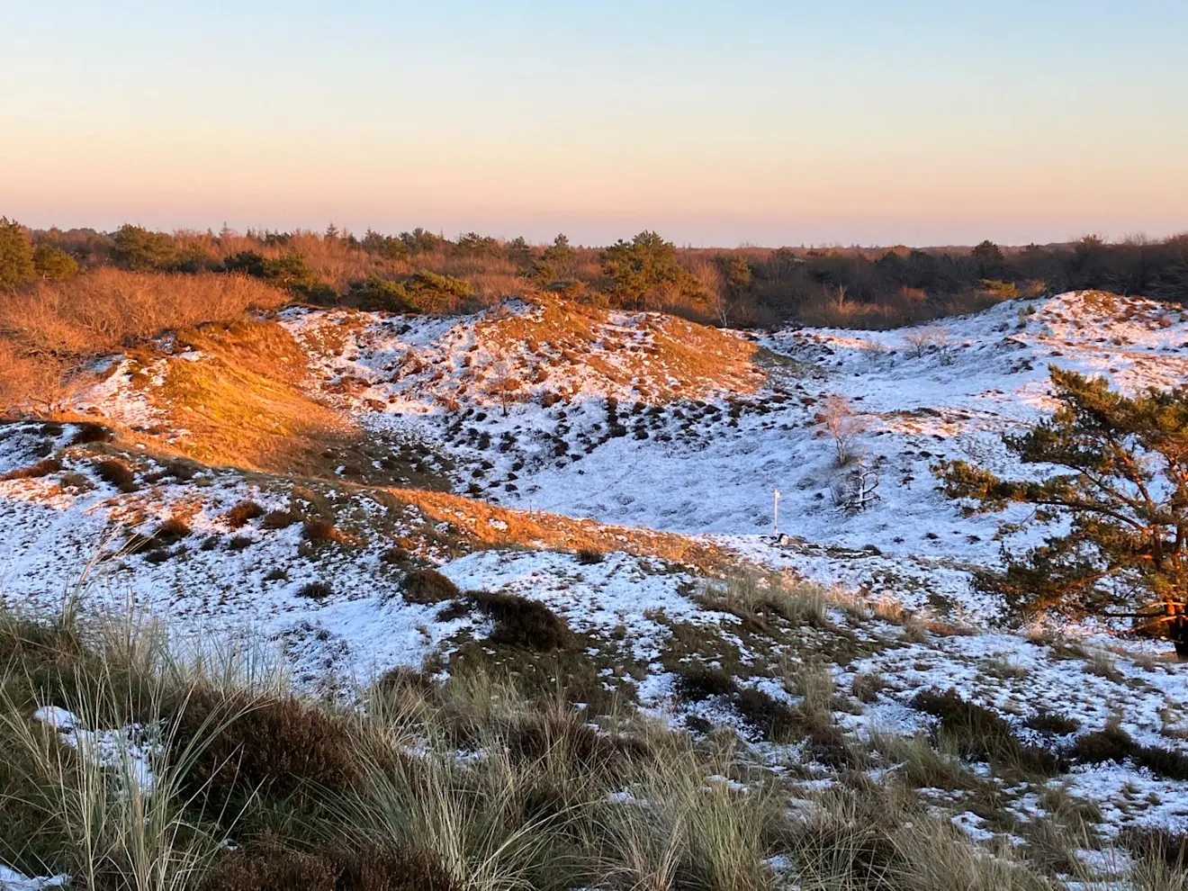 Bol 2 in de sneeuw - Pieter Bliek
