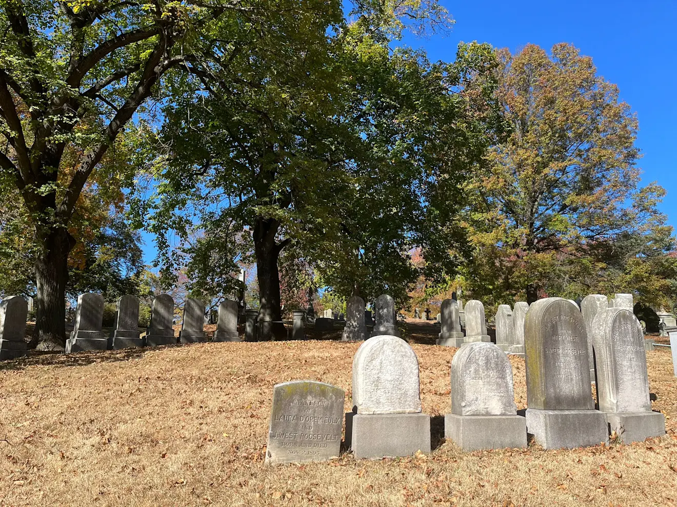 Het gras wordt bruin. Dit is op een begraafplaats in Brooklyn in New York waar de familie Roosevelt ligt begraven.