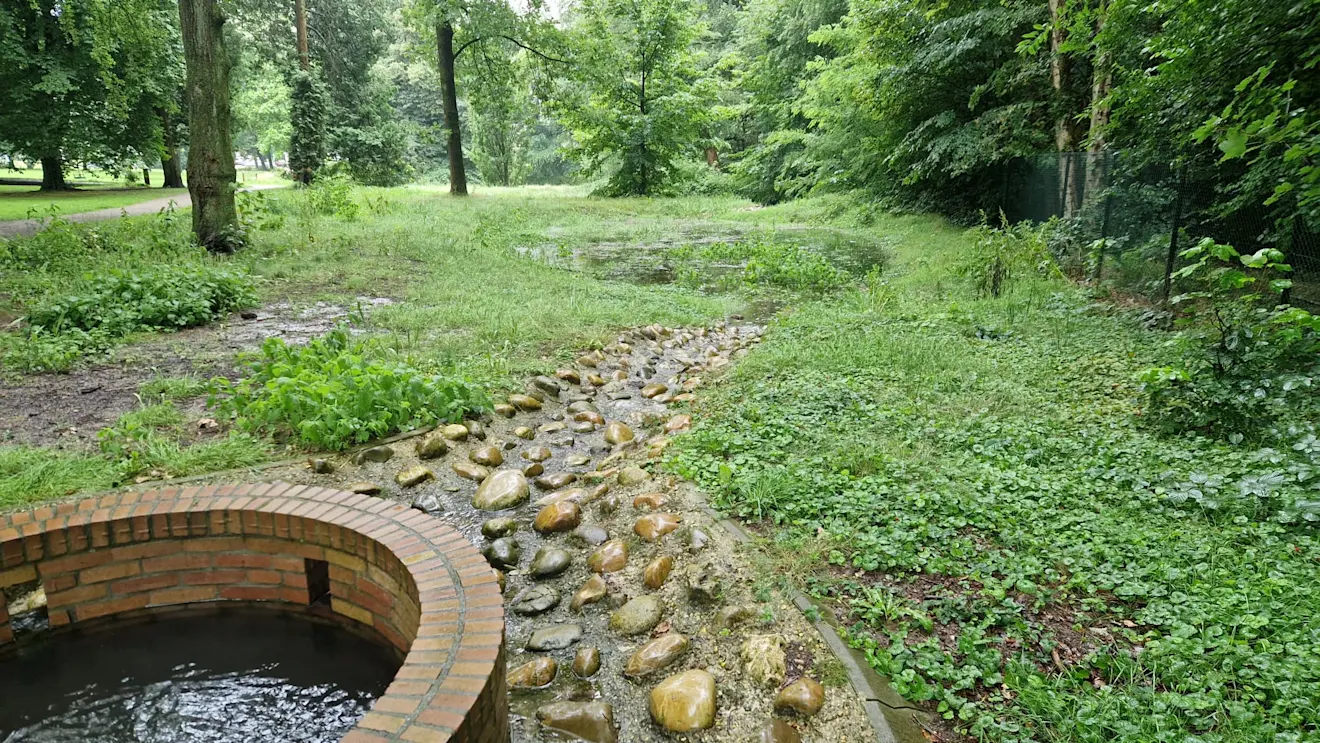 Een put met daarachter een wadi in het park - Reinout van den Born