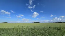 Heldere blauwe luchten in Noordoost-Groningen - Jannes Wiersema