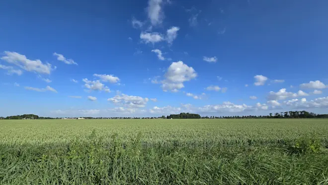 Heldere blauwe luchten in Noordoost-Groningen - Jannes Wiersema