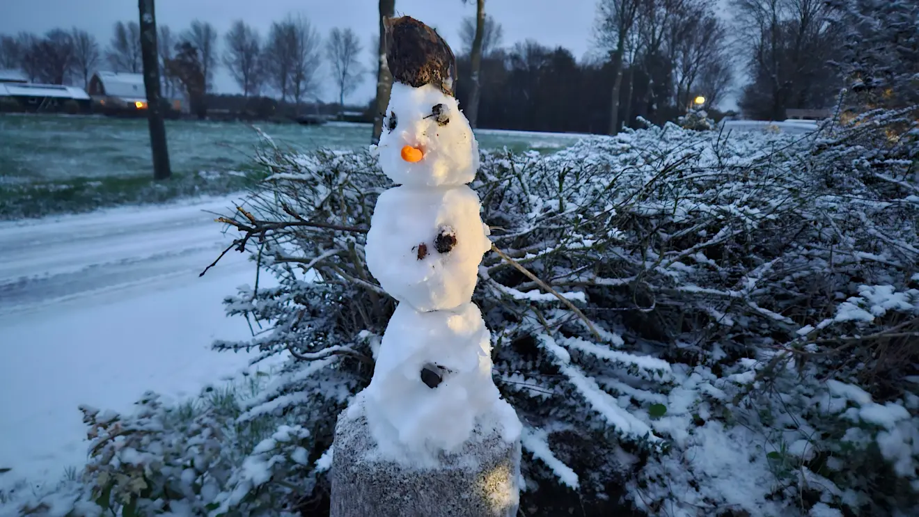 Een kleine sneeuwpop - Nely van Frankenhuyzen