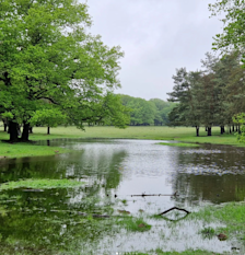 Water in het land door hevige regenval. Foto: Reinout van den Born.