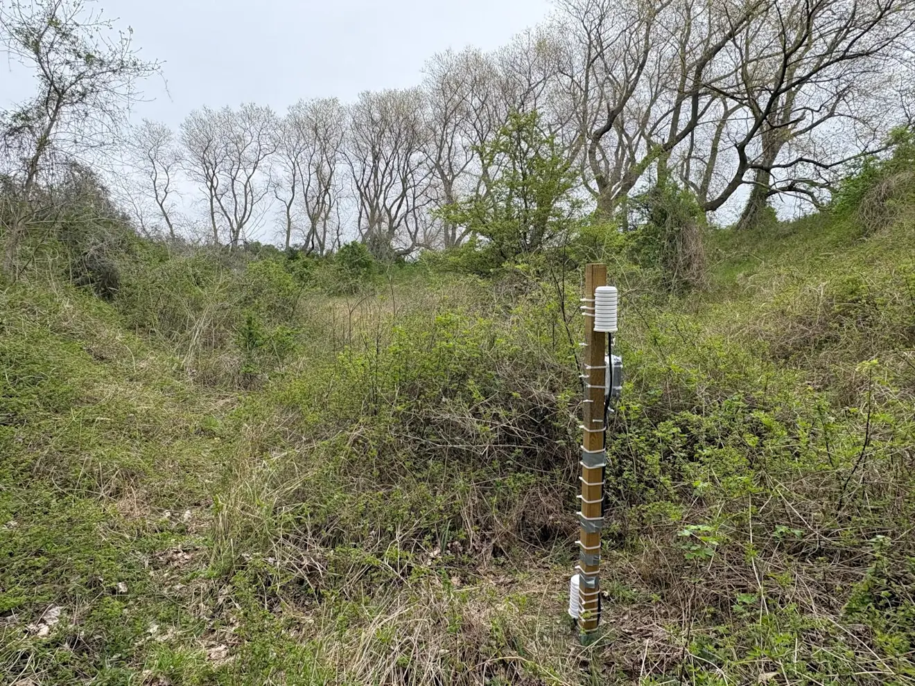 Een foto uit duinpan Bray Dunes 3 - Pieter Bliek