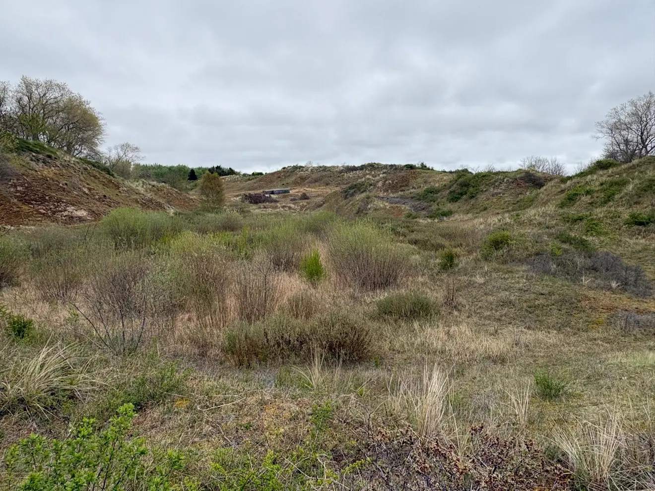 De duinpan Bray-Dunes in het noordwesten van Frankrijk - Pieter Bliek