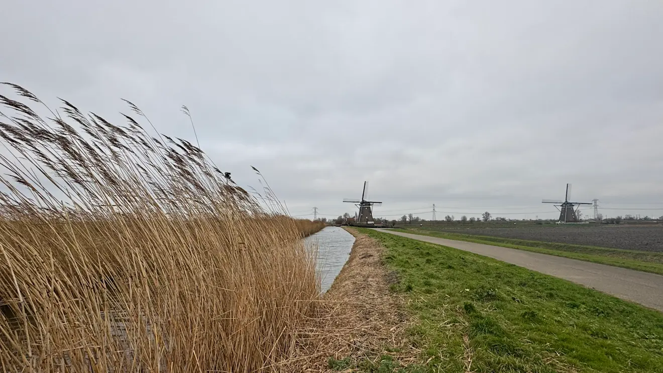 Een grijze lucht en een stevige wind, zie daar het weer van gisteren in een notendop - Jolanda Bakker