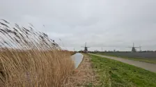 Een grijze lucht en een stevige wind, zie daar het weer van gisteren in een notendop - Jolanda Bakker