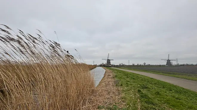 Een grijze lucht en een stevige wind, zie daar het weer van gisteren in een notendop - Jolanda Bakker