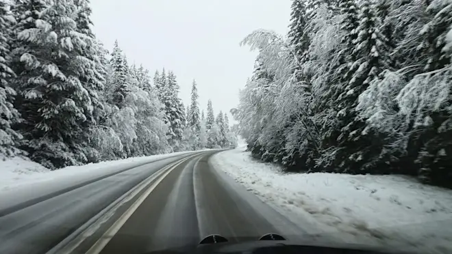Sneeuw in de buurt van Vemdalsskalet - Maartje Kampjes