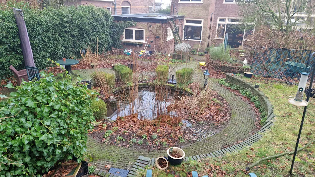 In de vijver in onze tuin heerst nog winterrust - Reinout van den Born