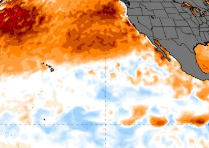 Een deel van de enorme 'warme blob' op de Grote Oceaan - Climate Reanalyzer