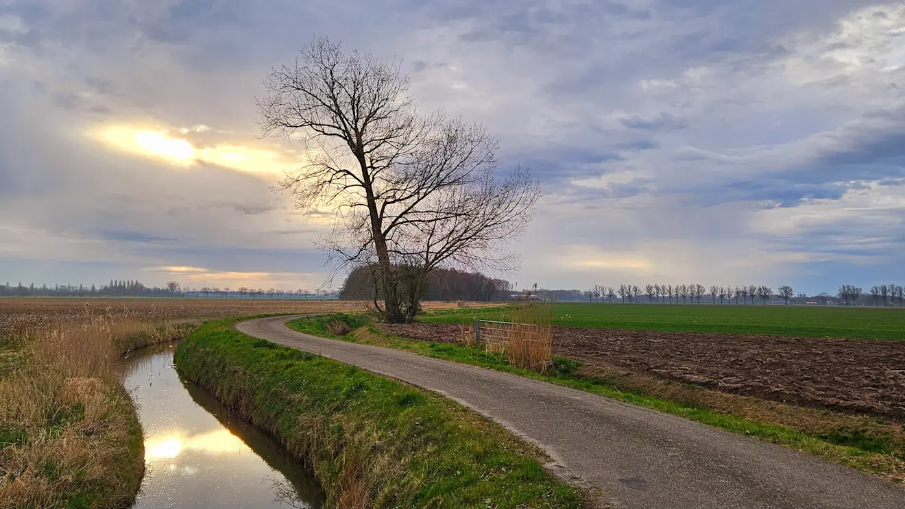 Wolken en zon wisselen elkaar in deze periode af - Nely van Frankenhuyzen