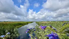 Vanaf zondag gaan we in Nederland een langere periode met zomerweer in - Jolanda Bakker