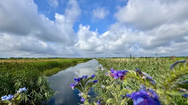 Vanaf zondag gaan we in Nederland een langere periode met zomerweer in - Jolanda Bakker
