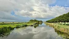 Het beeld van deze zomer - Jolanda Bakker