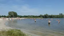 Verkoeling zoeken in het water tijdens de huidige hittegolf - Albert Thibaudier