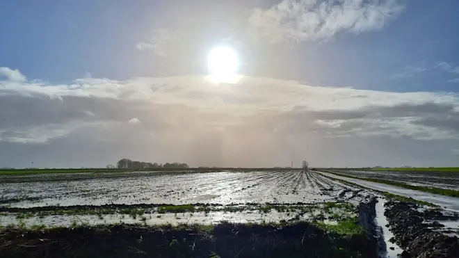 Water in het veld in de buurt van Roodeschool. Foto: Jannes Wiersema.