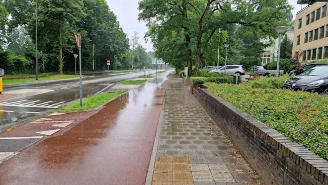 Over een natte weg naar het centrum van Arnhem - Reinout van den Born
