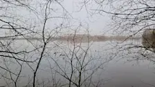 Ook vanochtend was het grijs. De komende dagen komt er wat meer tekening in de lucht - Nely van Frankenhuyzen
