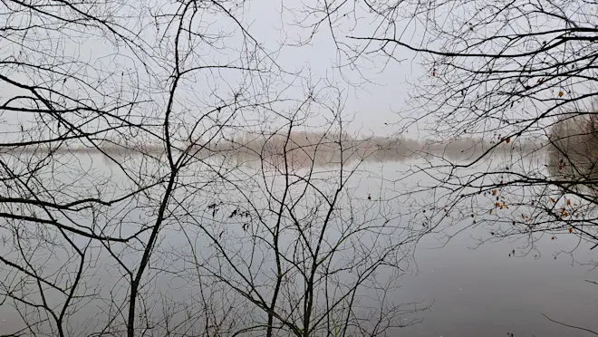 Ook vanochtend was het grijs. De komende dagen komt er wat meer tekening in de lucht - Nely van Frankenhuyzen