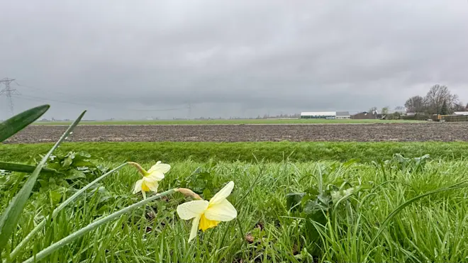 Vanochtend was het nog nat, maar de lente komt volgende week al terug - Jolanda Bakker